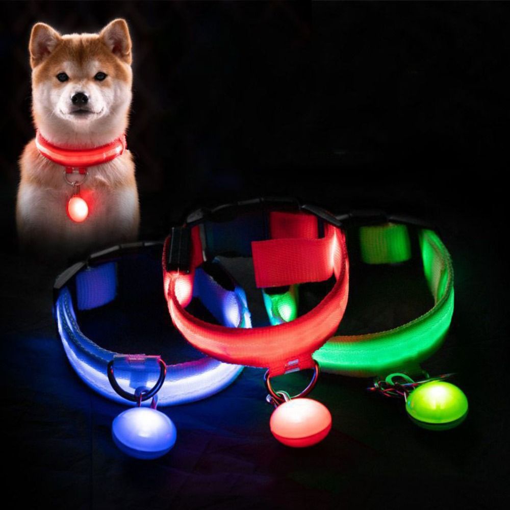 Светящийся ошейник для собак с – обзор и цена Tech Dog Accessories
