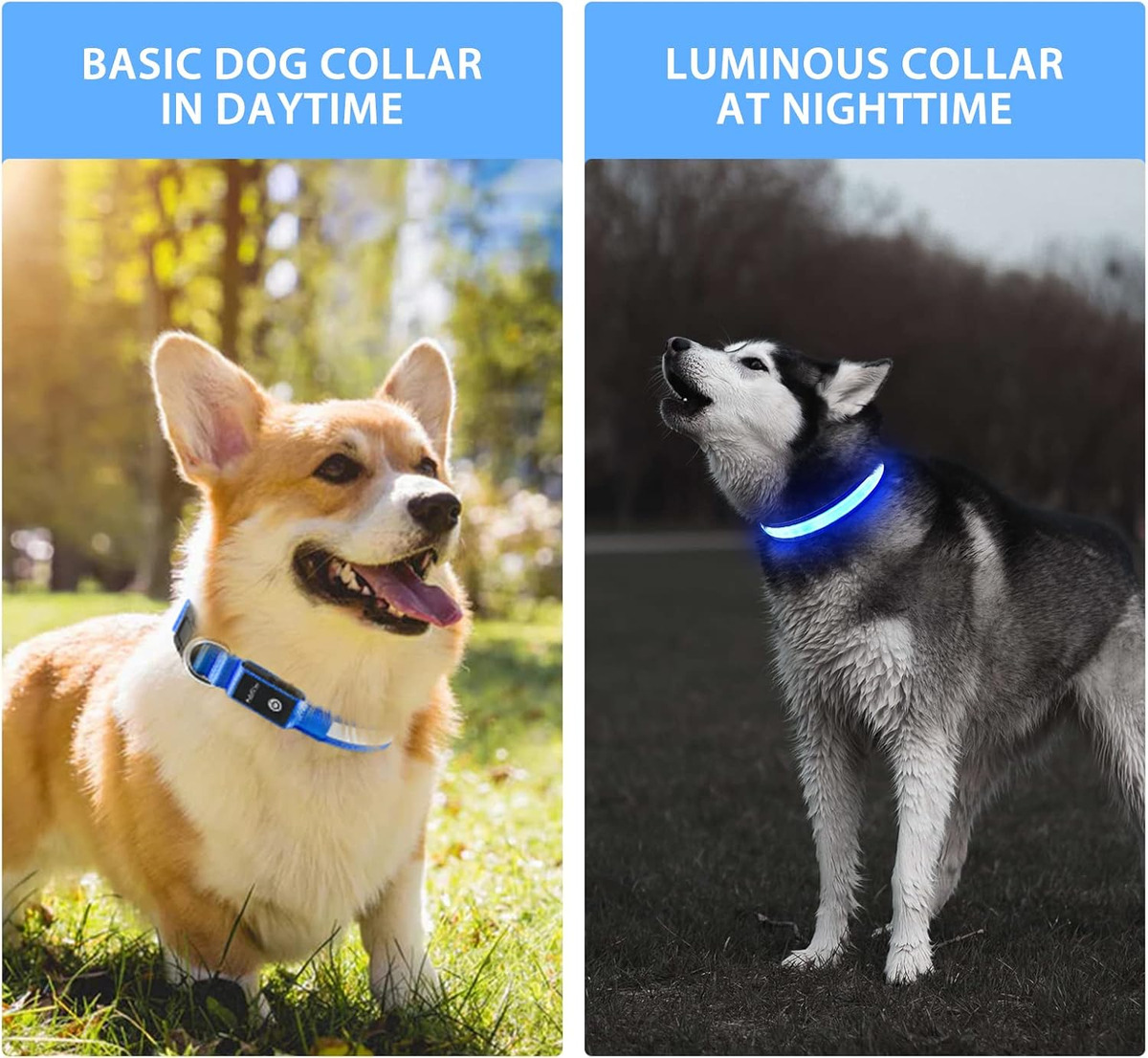 Светодиодные ошейники для соба – обзор и цена Tech Dog Accessories