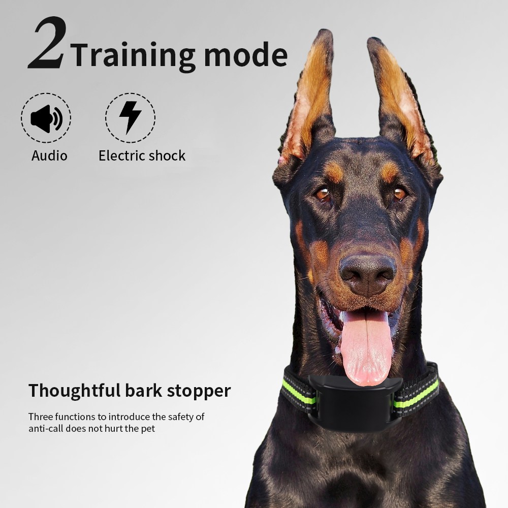 Электронный ошейник против лая – обзор и цена Tech Dog Accessories