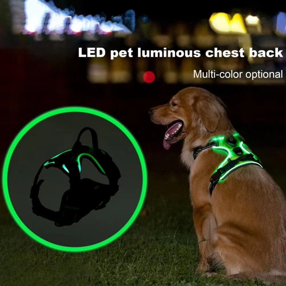 Прочный светящийся светодиодны – обзор и цена Tech Dog Accessories