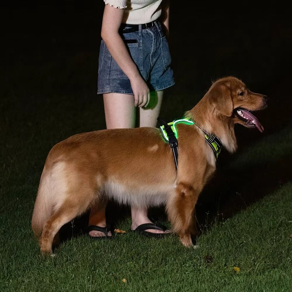 Прочный светящийся светодиодны – обзор и цена Tech Dog Accessories
