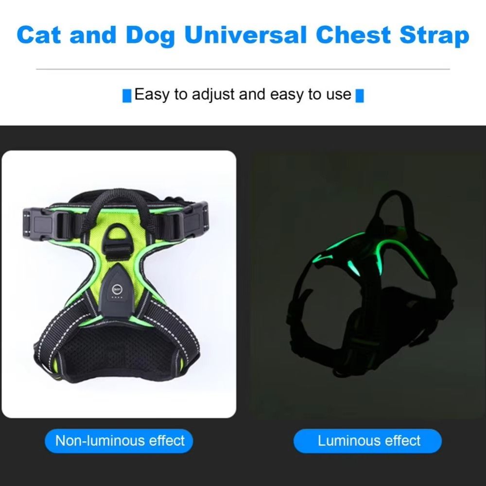 Прочный светящийся светодиодны – обзор и цена Tech Dog Accessories