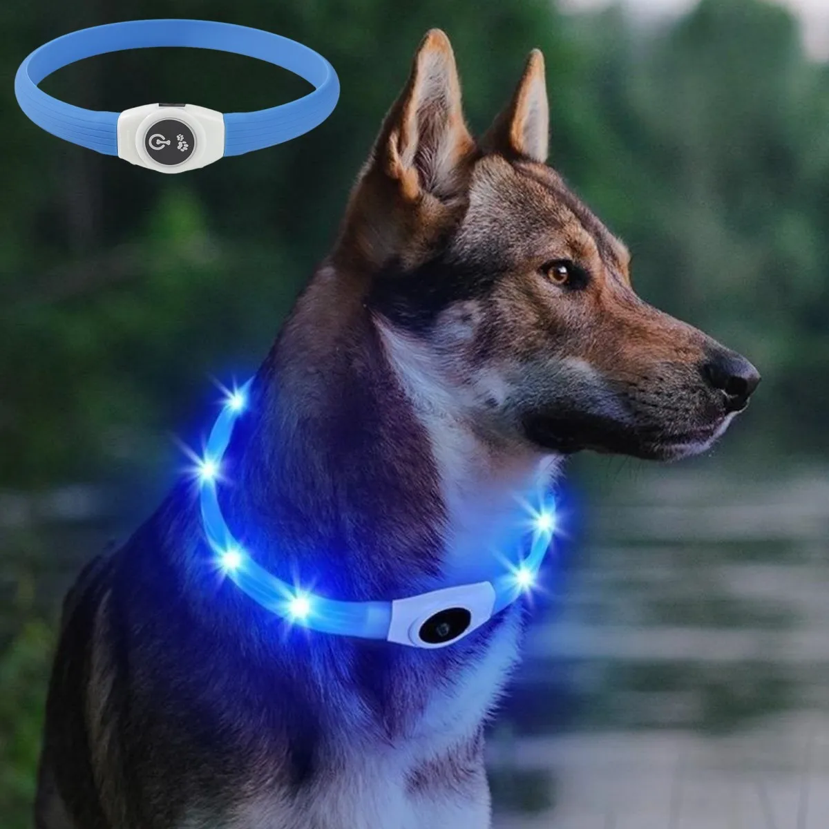 Новый светодиодный светящийся  – обзор и цена Tech Dog Accessories