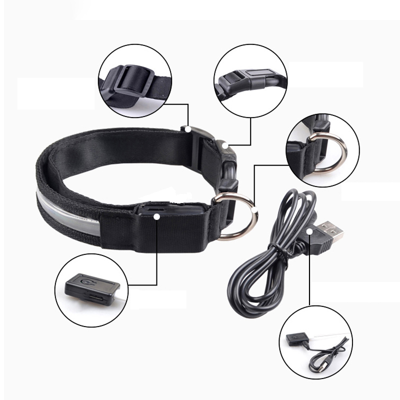 Светодиодный ошейник для собак – обзор и цена Tech Dog Accessories