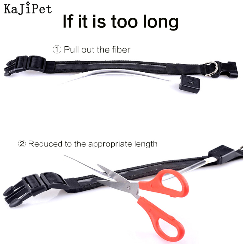 Светодиодный ошейник для собак – обзор и цена Tech Dog Accessories